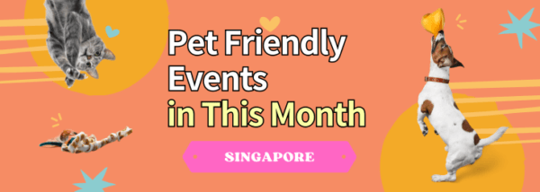 Pet Friendly events in this Month Singapore
