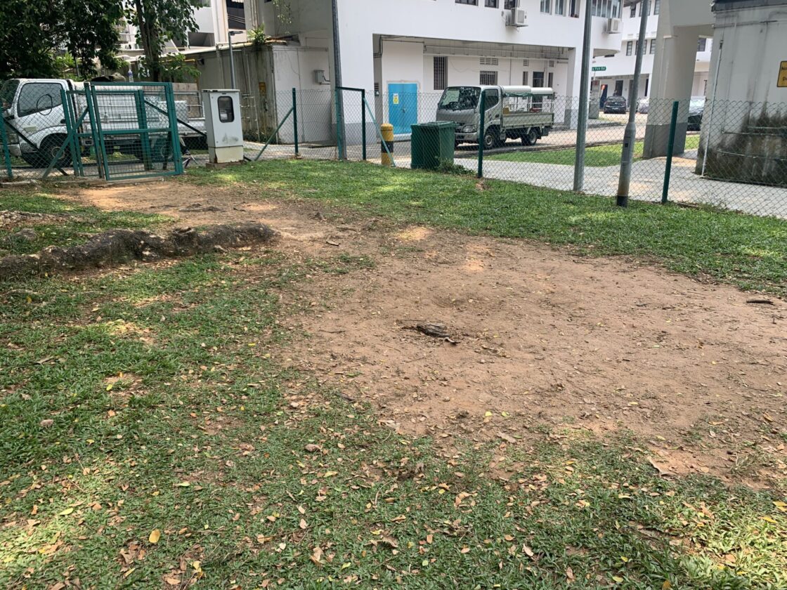 Tiong Bahru Sit Wah Dog Runの画像4