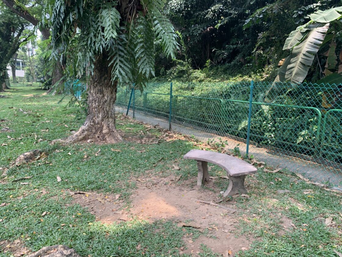 Tiong Bahru Sit Wah Dog Runの画像2