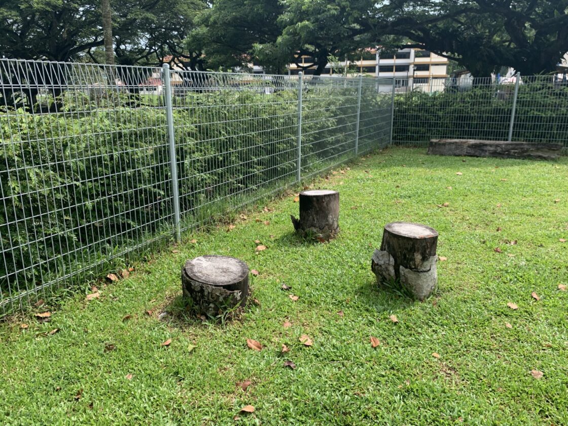 Pasir Ris Park Dog Runの画像6