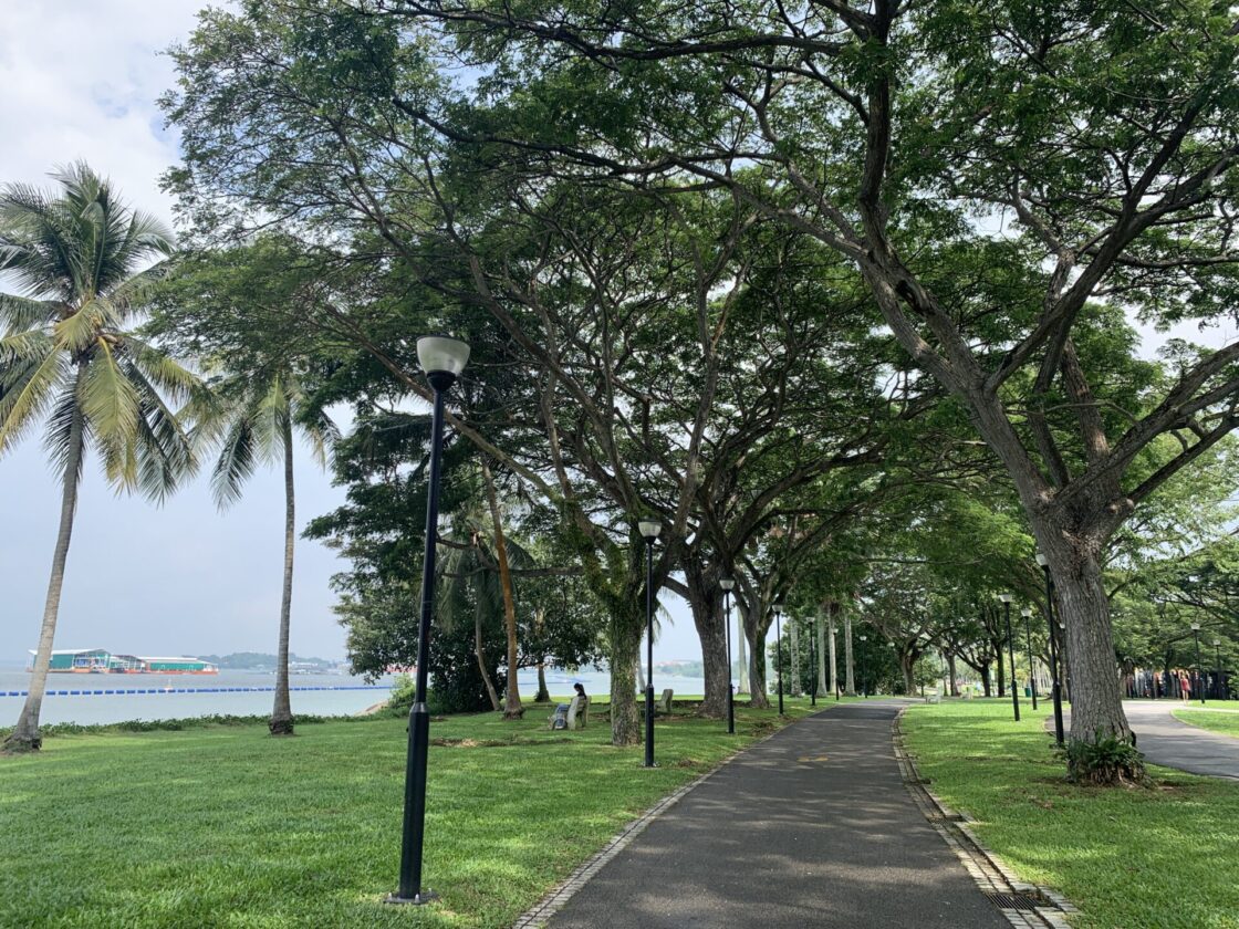 Pasir Ris Park Dog Runの画像7