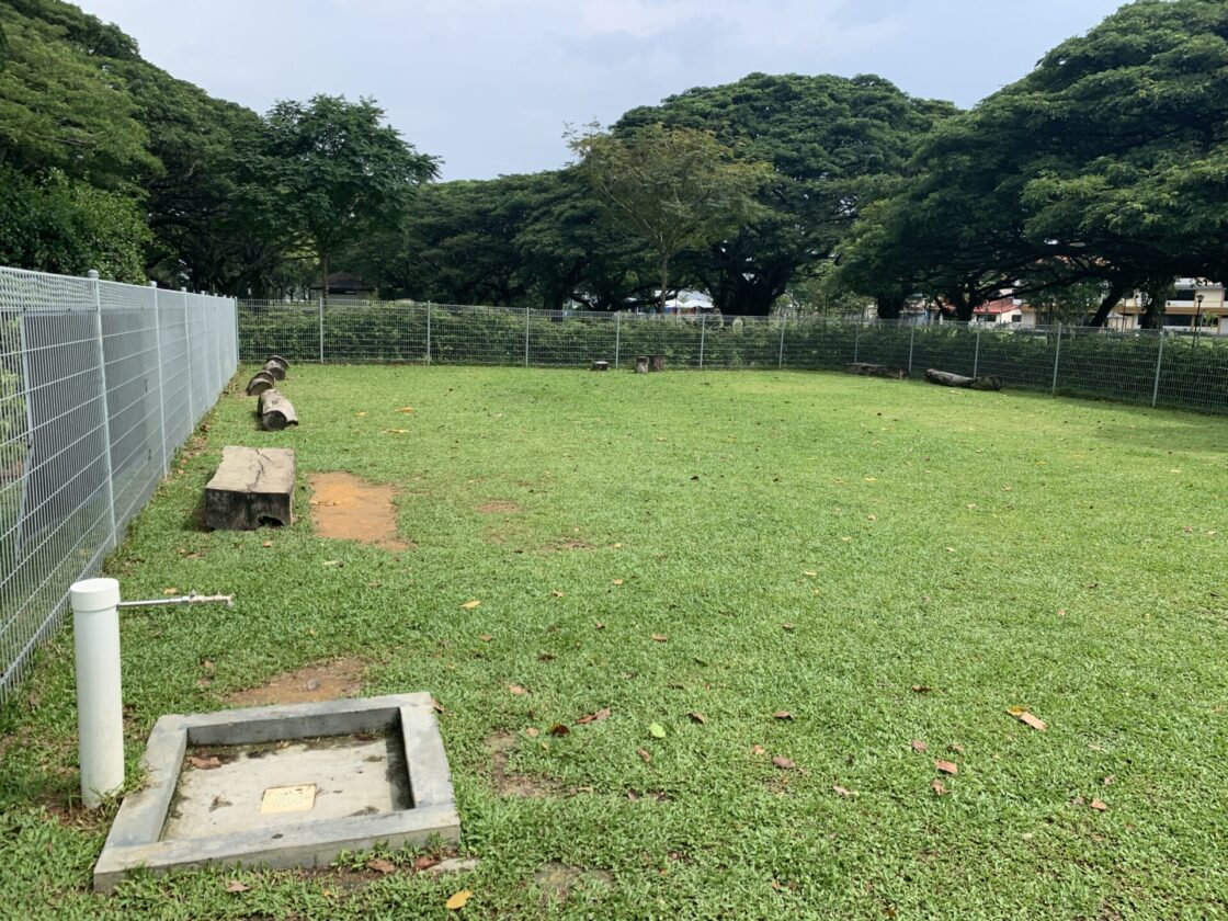 Pasir Ris Park Dog Runの画像4