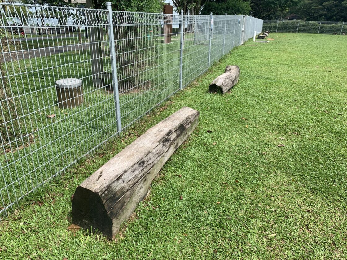 Pasir Ris Park Dog Runの画像5