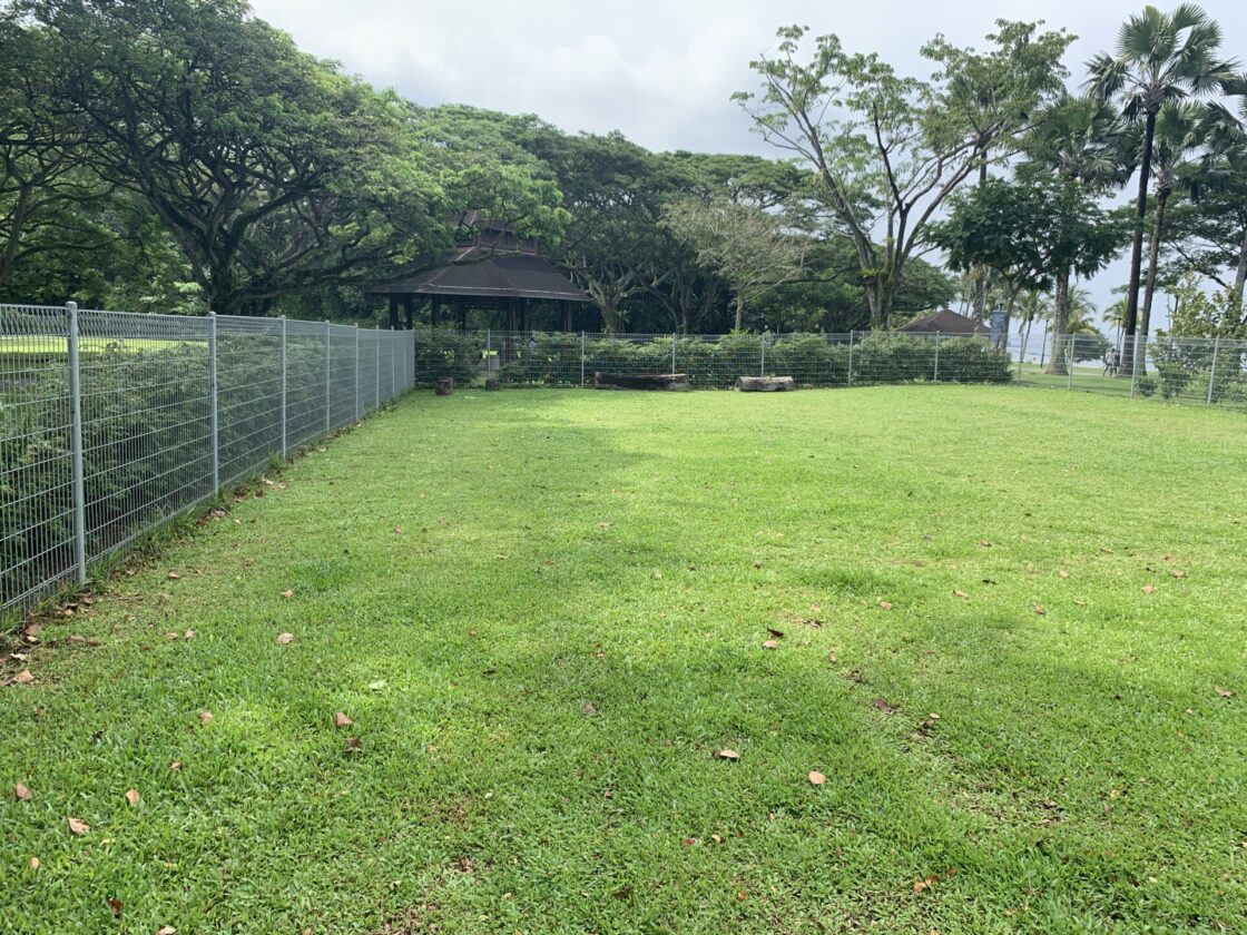 Pasir Ris Park Dog Runの画像2