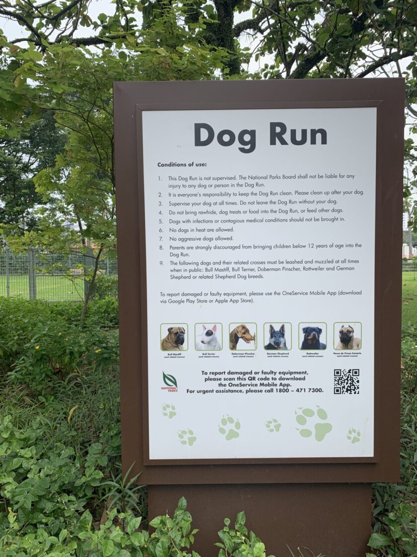 Sun Plaza Park Dog Runの画像5