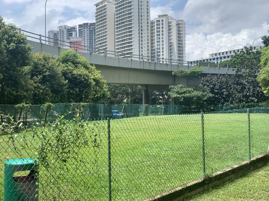 Our Space @ Tai Gin ( dog run )の画像6