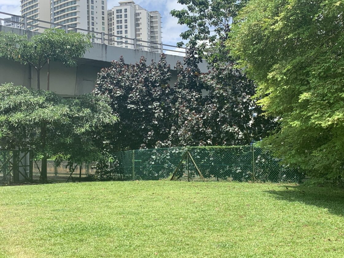 Our Space @ Tai Gin ( dog run )の画像2