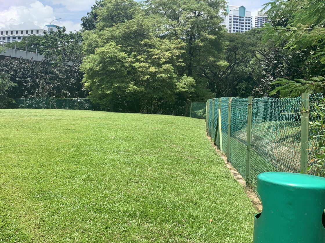 Our Space @ Tai Gin ( dog run )の画像3