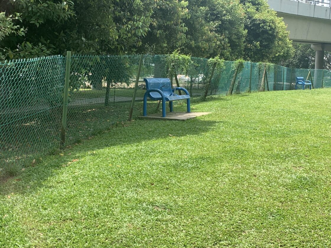 Our Space @ Tai Gin ( dog run )の画像4