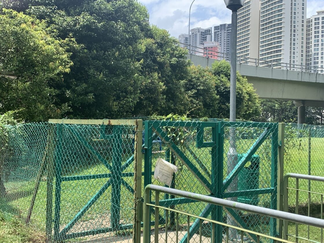 Our Space @ Tai Gin ( dog run )の画像5