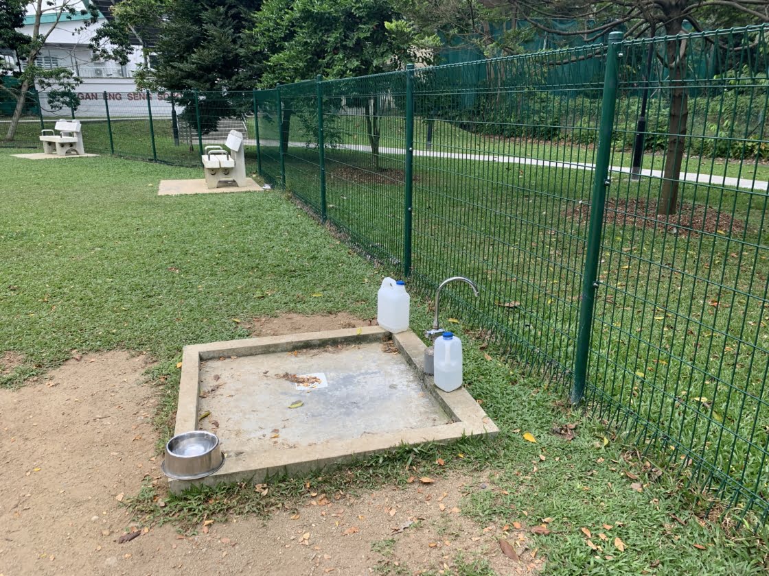 Tiong Bahru Park Dog Runの画像5