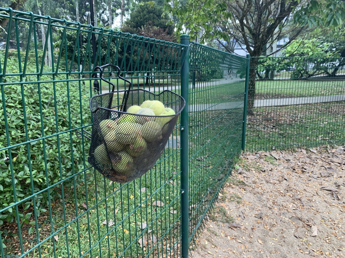 Tiong Bahru Park Dog Runの画像4