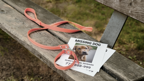 Put Up Flyers