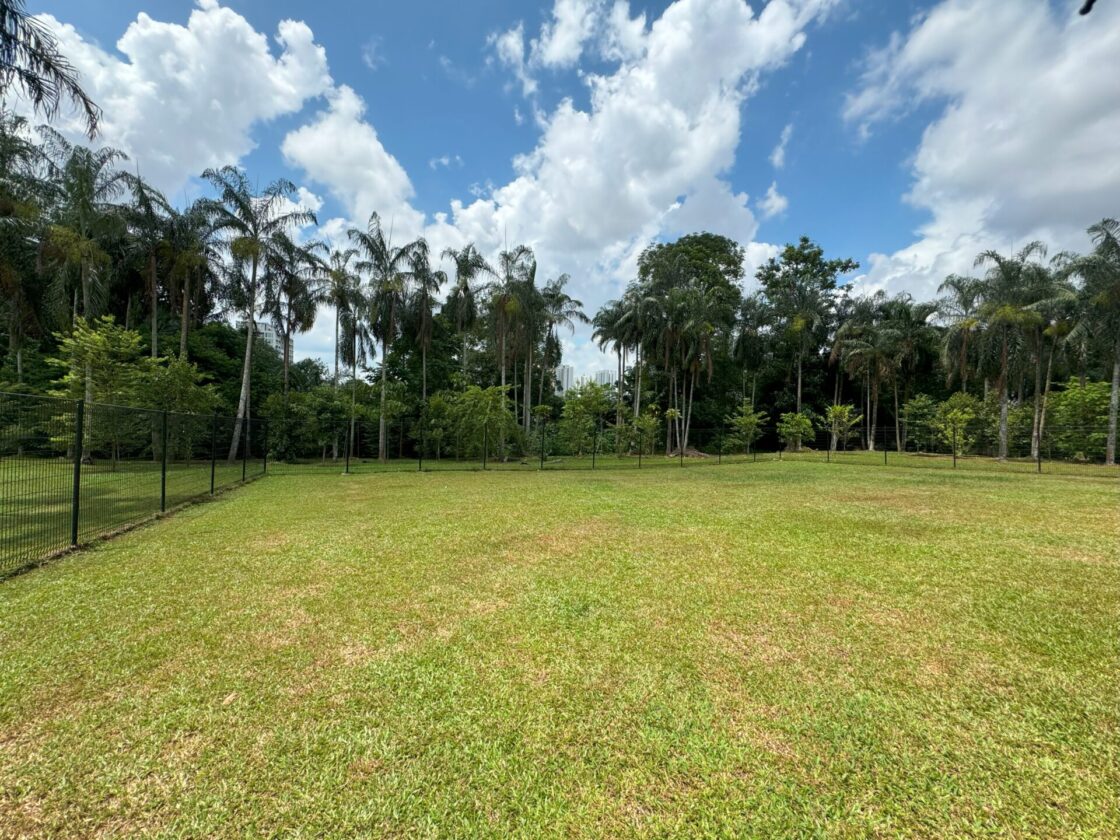 Ang Mo Kio Town Garden West Dog Runの画像3
