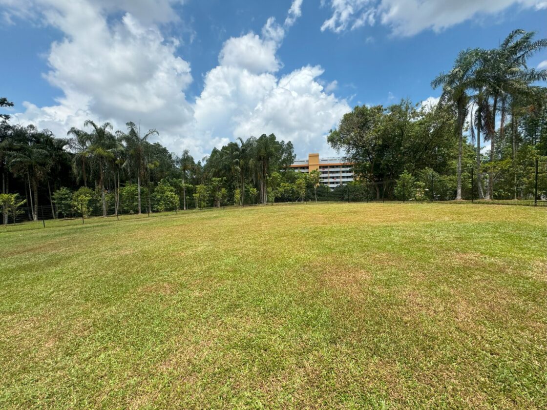 Ang Mo Kio Town Garden West Dog Runの画像2
