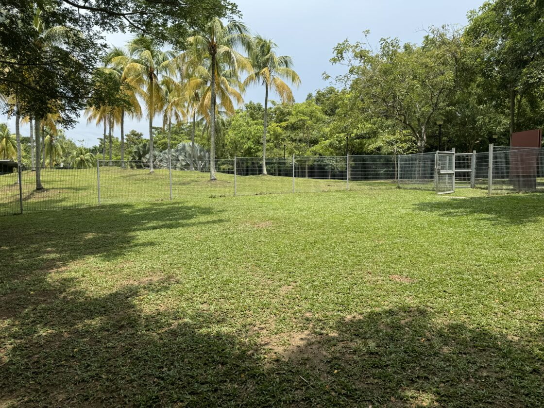 Bedok Town Park Dog Runの画像7