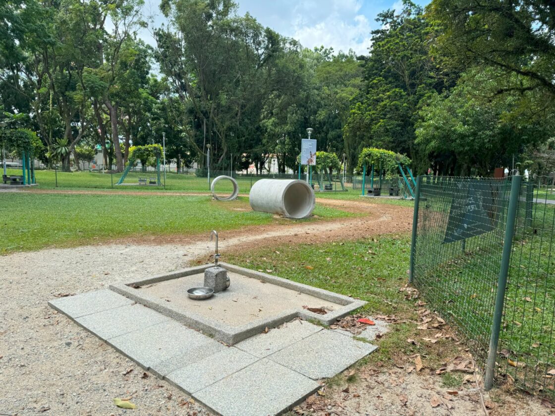 Bishan-Ang Mo Kio Park Dog Runの画像5