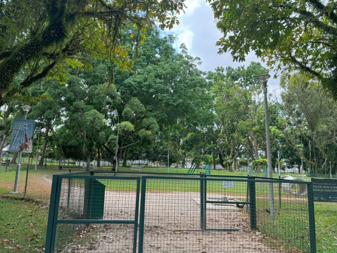 Bishan-Ang Mo Kio Park Dog Runの画像1