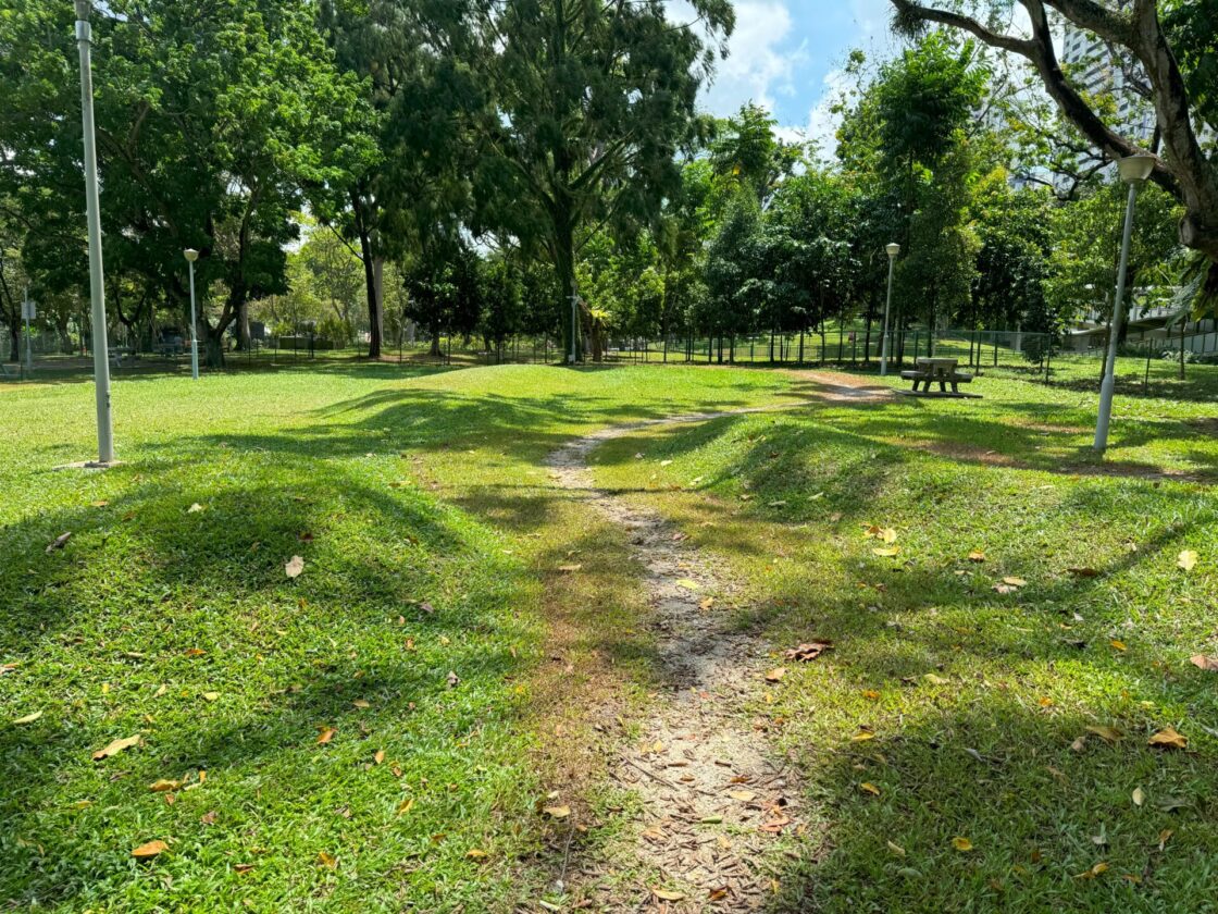 Bishan-Ang Mo Kio Park Dog Runの画像10