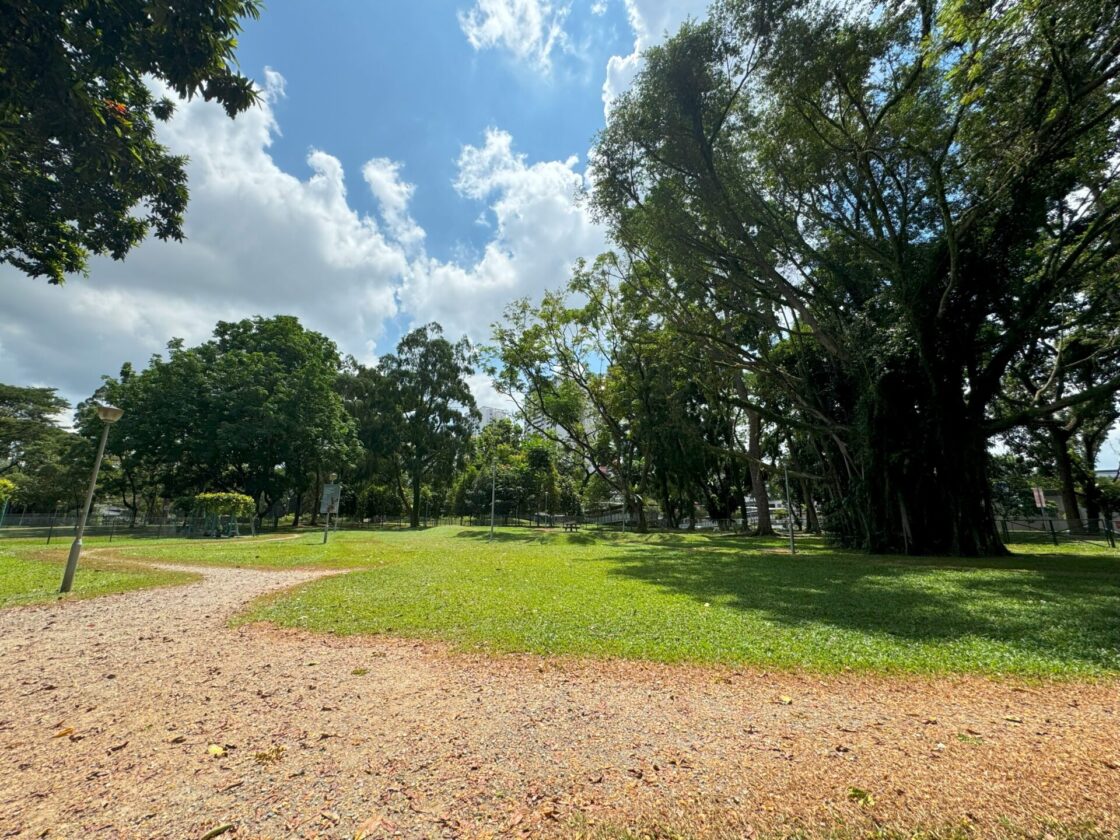 Bishan-Ang Mo Kio Park Dog Runの画像4