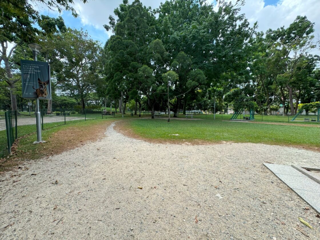 Bishan-Ang Mo Kio Park Dog Runの画像6