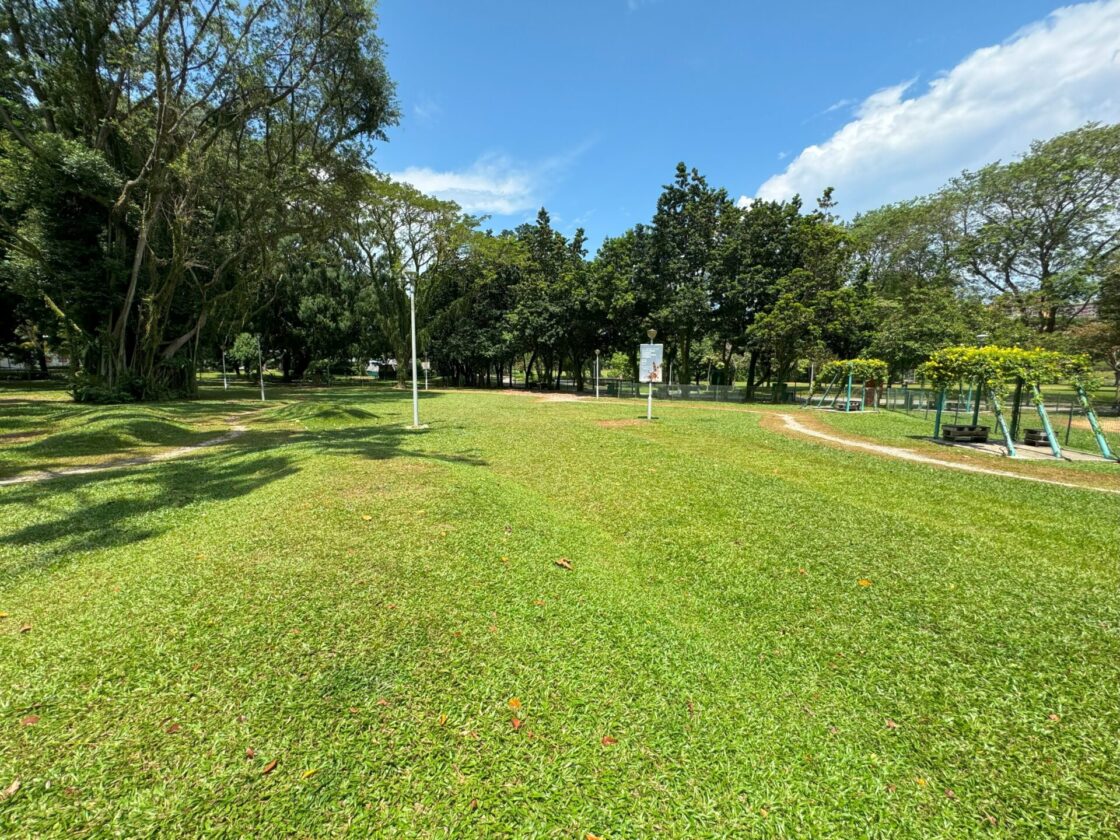 Bishan-Ang Mo Kio Park Dog Runの画像9