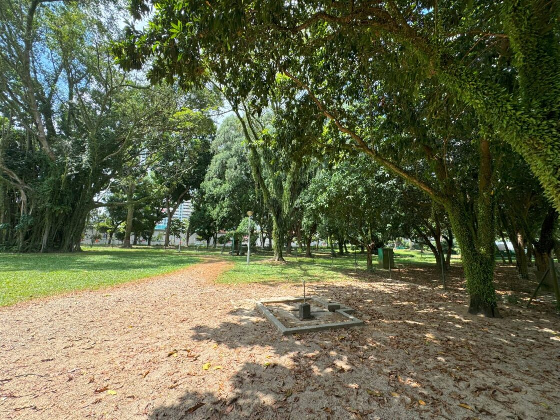 Bishan-Ang Mo Kio Park Dog Runの画像11