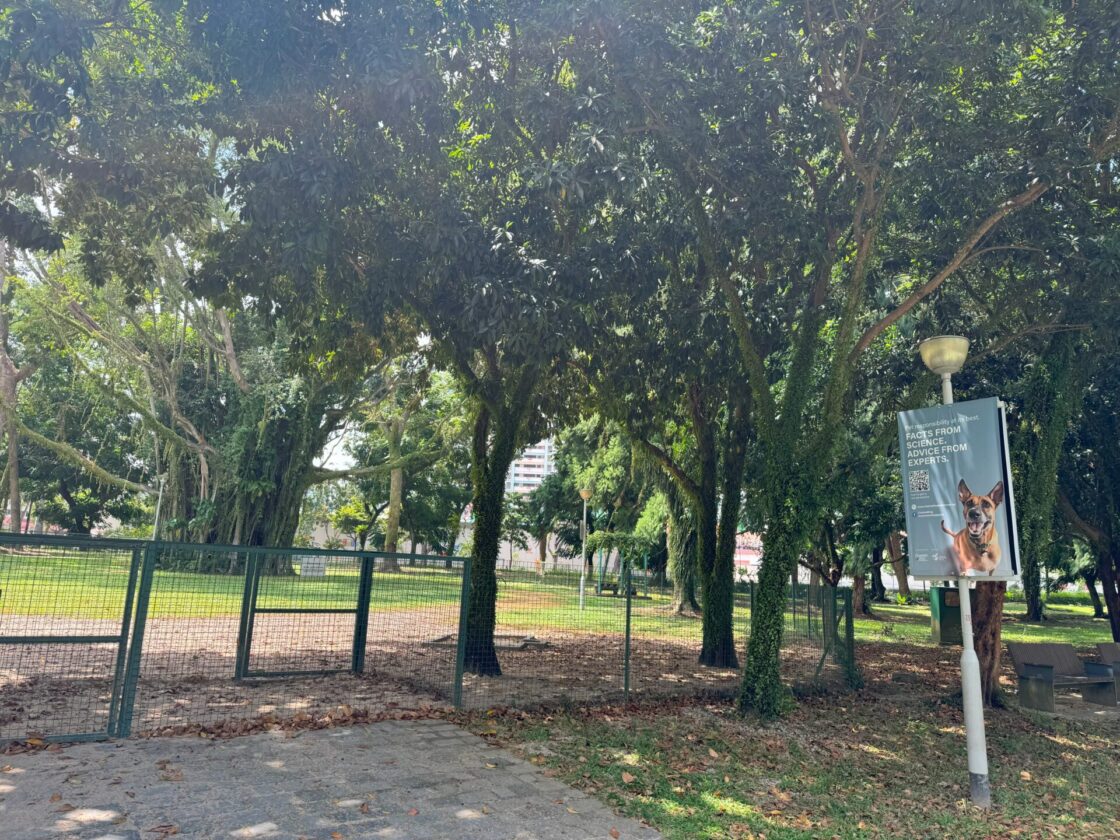 Bishan-Ang Mo Kio Park Dog Runの画像7