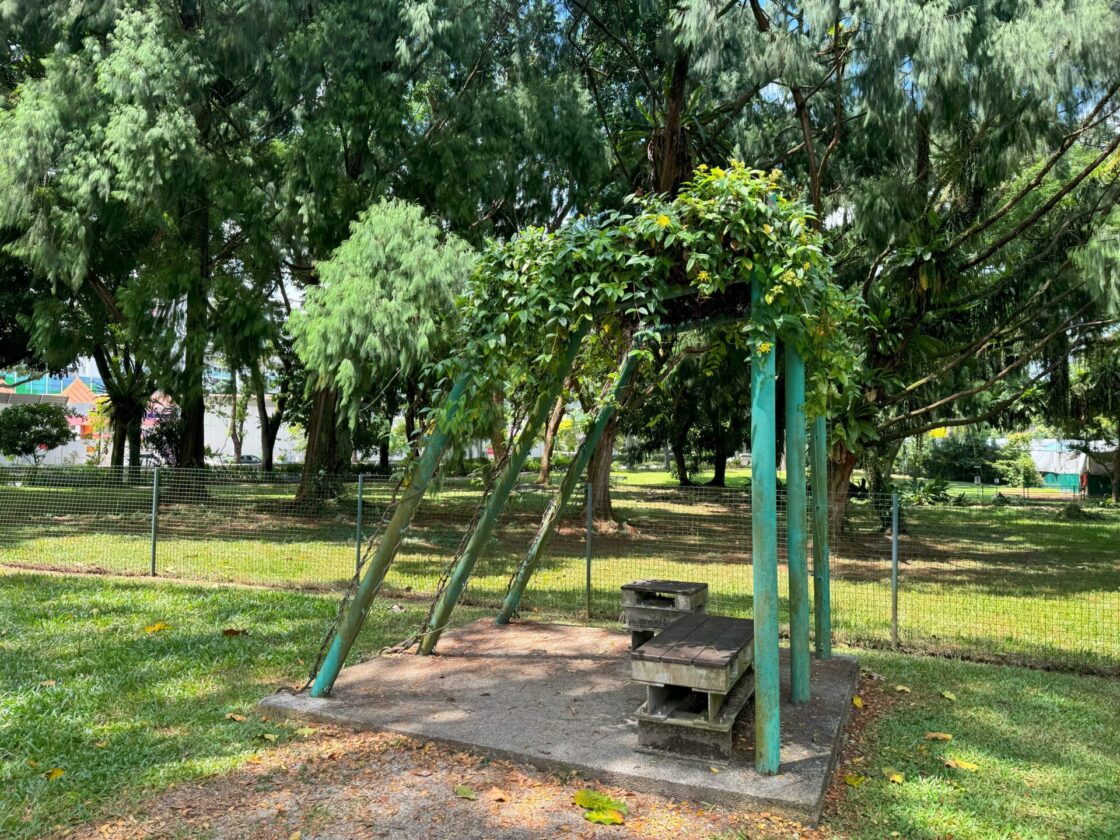 Bishan-Ang Mo Kio Park Dog Runの画像12
