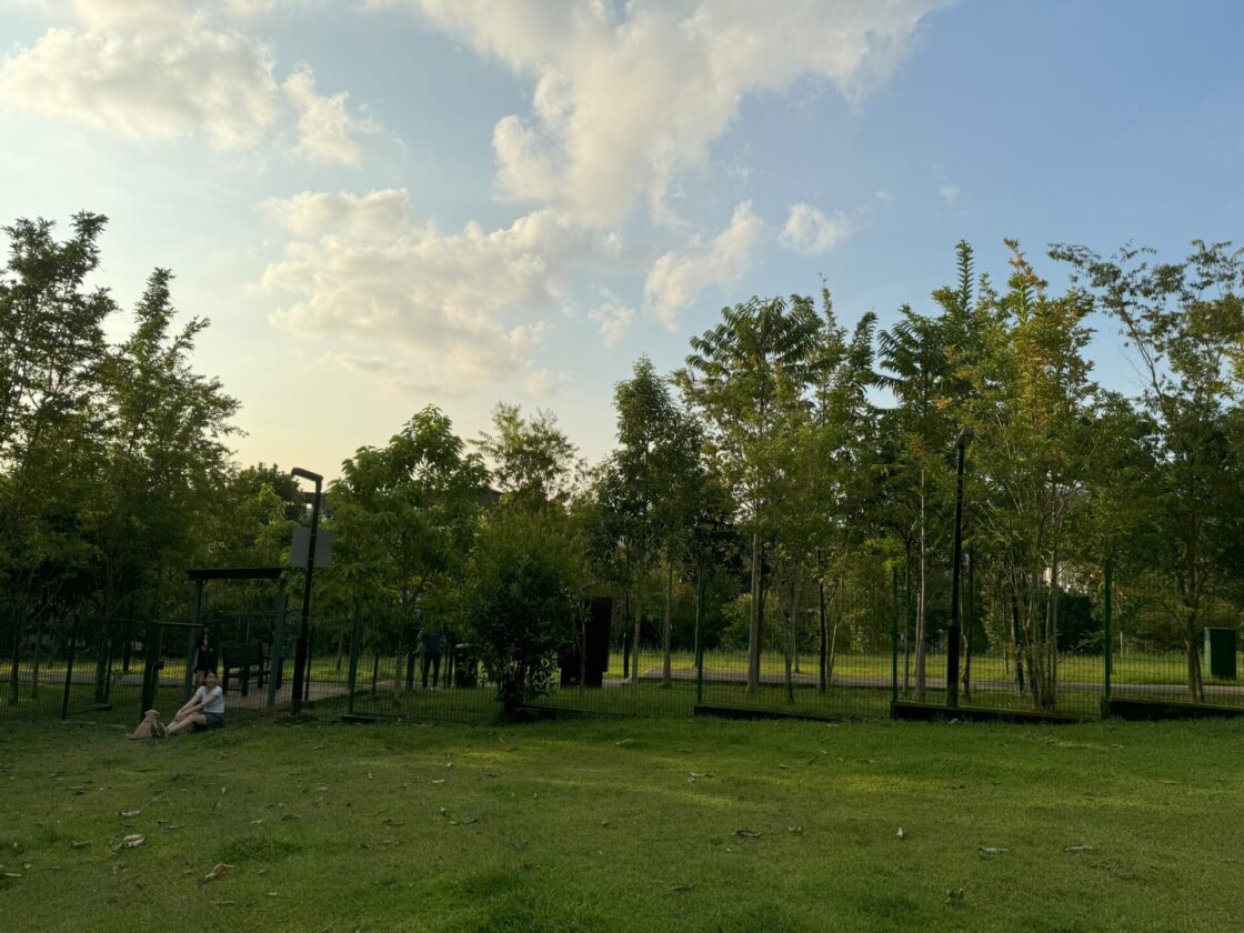 Bukit Gombak Park Dog Runの画像3