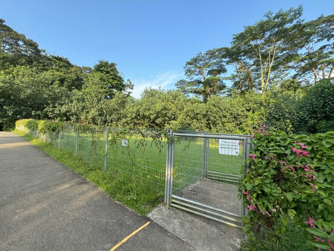 Choa Chu Kang Park Dog Runの画像3