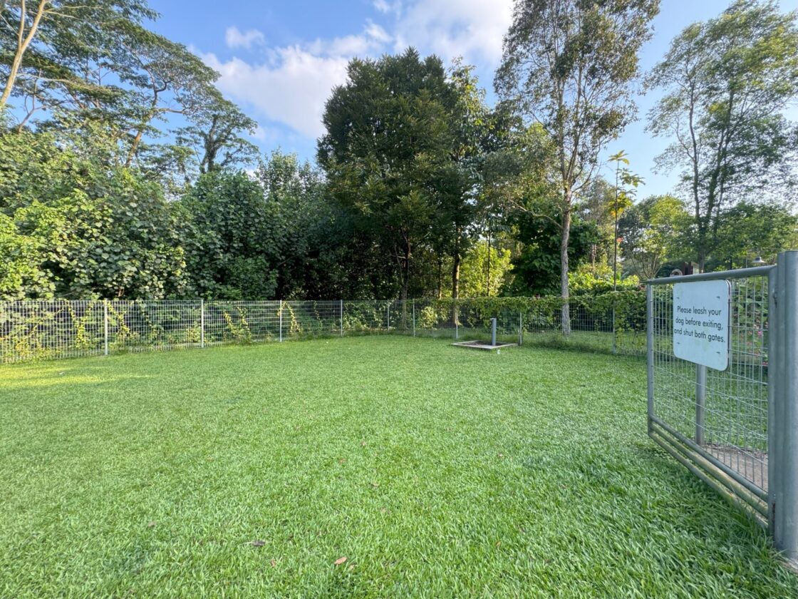 Choa Chu Kang Park Dog Runの画像2