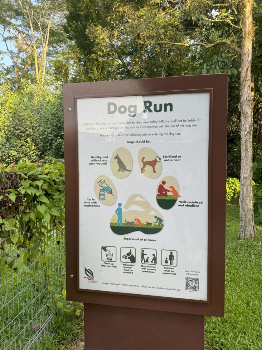 Choa Chu Kang Park Dog Runの画像4