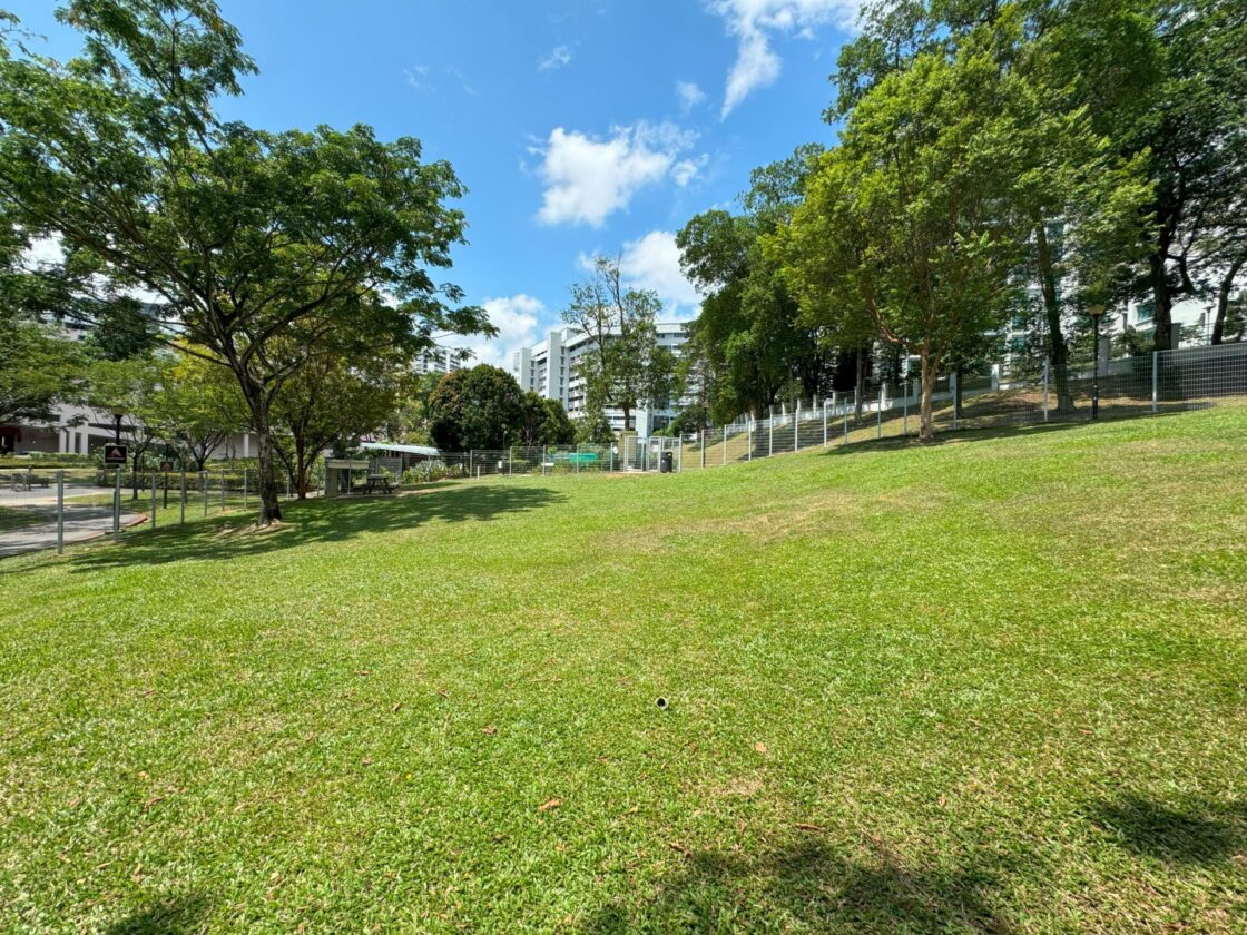 Clementi Woods Park Dog Runの画像4