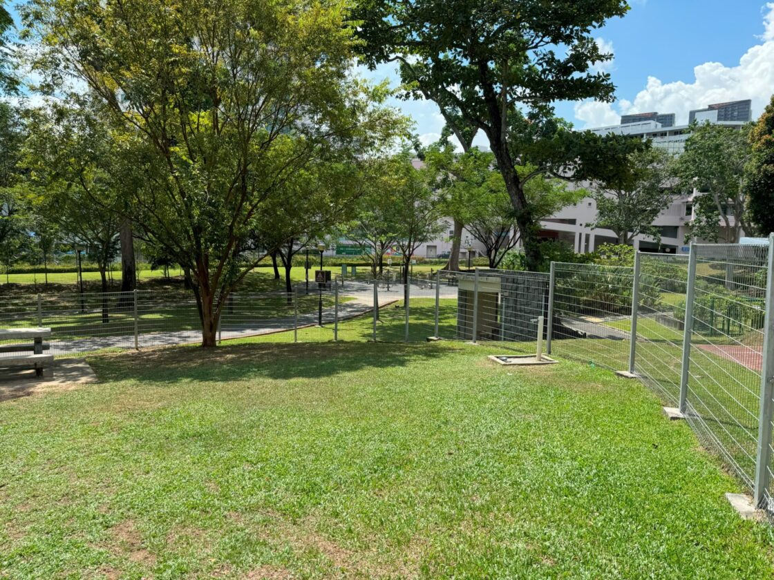 Clementi Woods Park Dog Runの画像7
