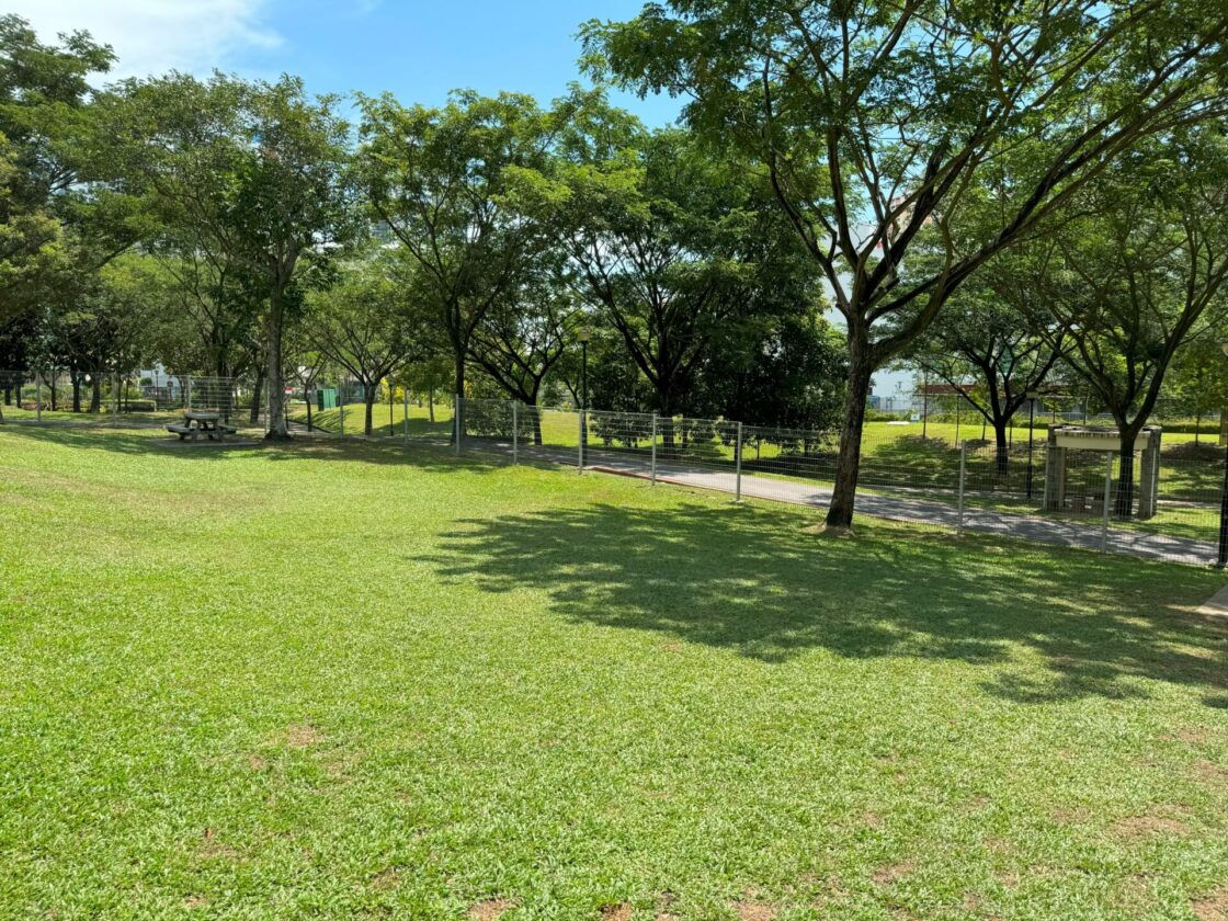Clementi Woods Park Dog Runの画像6