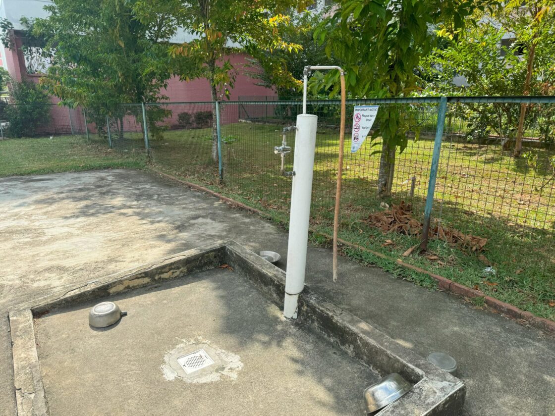 Dog Park at Upp Serangoon 21の画像6