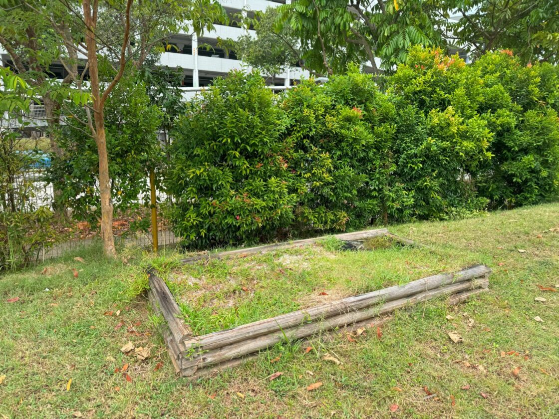 Jurong Play Grounds (JPG) Dog Runの画像9