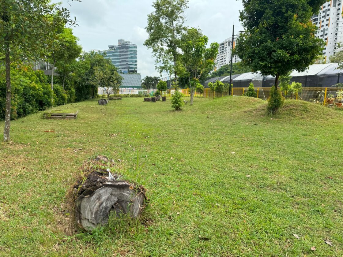 Jurong Play Grounds (JPG) Dog Runの画像7
