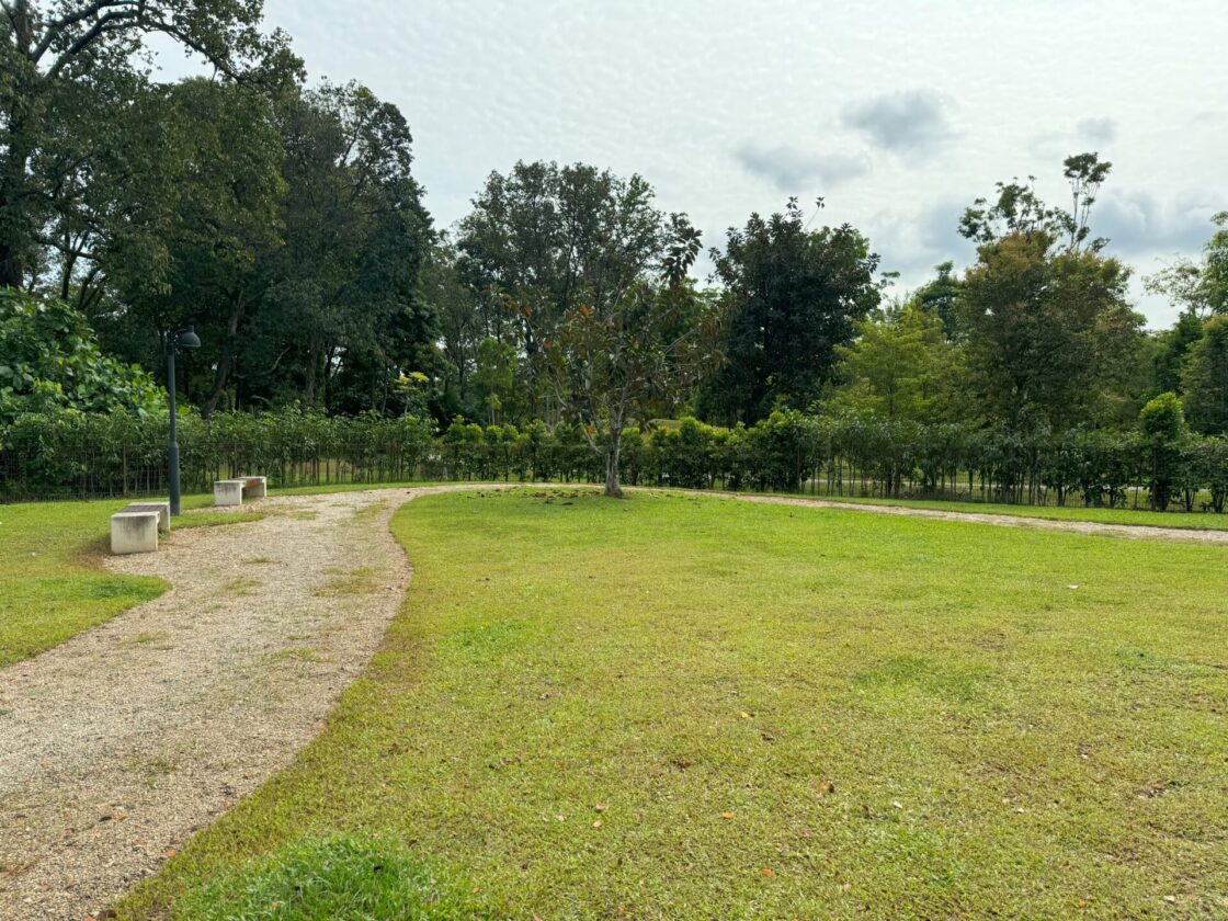 Jurong Lake Garden Dog Runの画像11