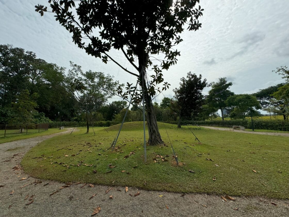 Jurong Lake Garden Dog Runの画像4