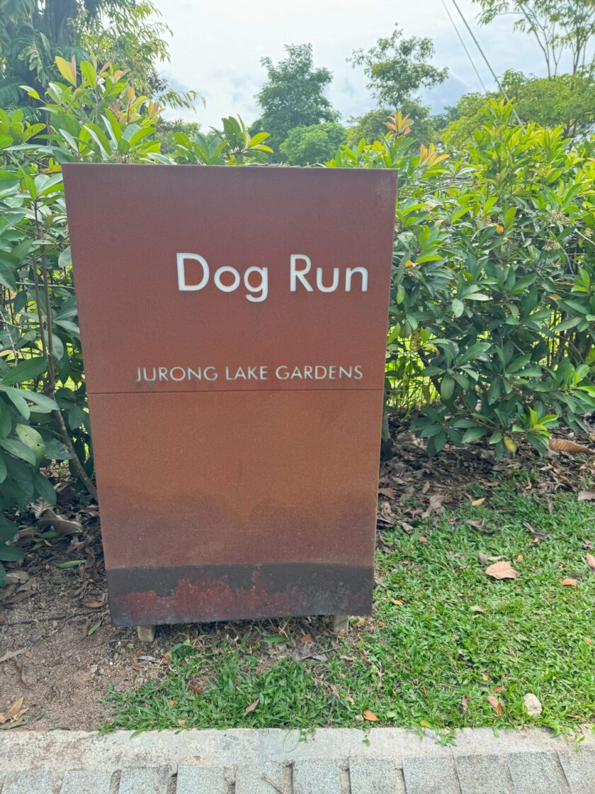Jurong Lake Garden Dog Runの画像7