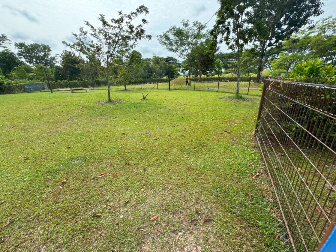 Jurong Lake Garden Dog Runの画像10
