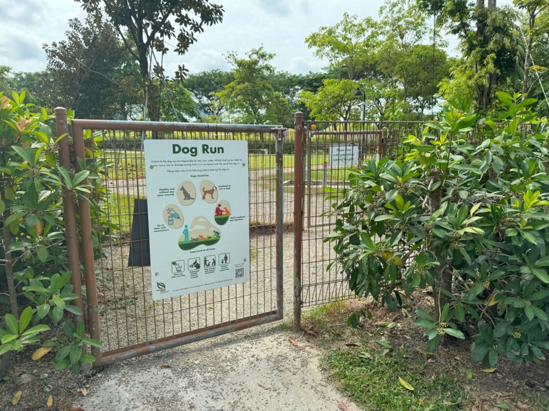 Jurong Lake Garden Dog Runの画像8