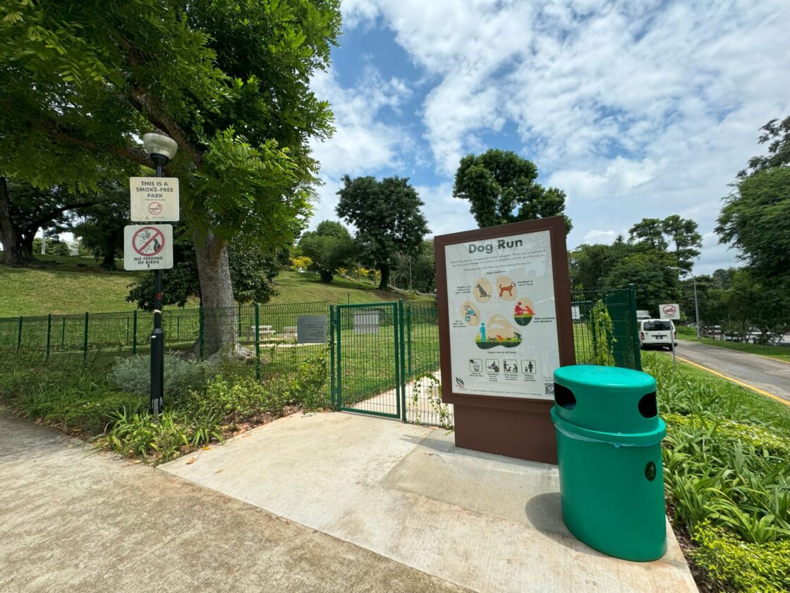 Mount Emily Park Dog Runの画像1