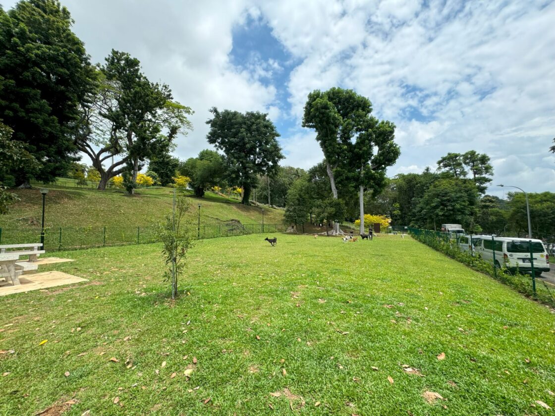 Mount Emily Park Dog Runの画像4