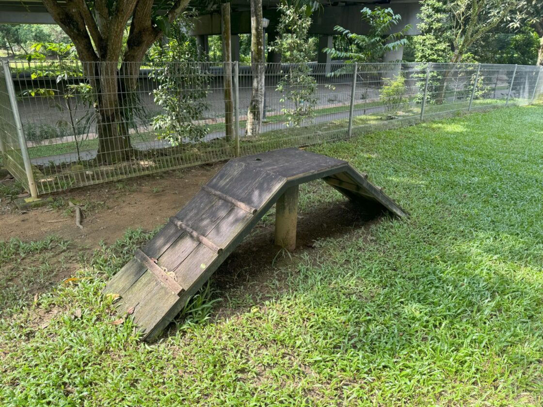 Pet Park at Segar Gardensの画像5