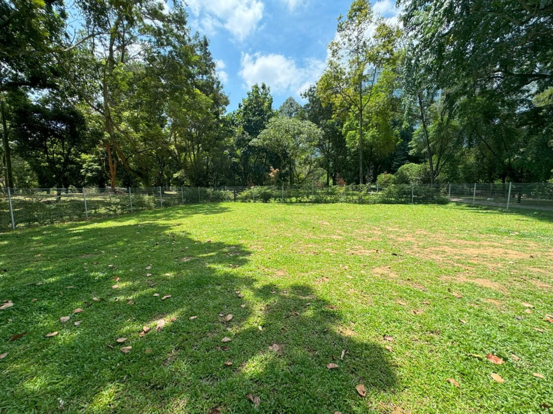 Punggol Park Dog Runの画像3