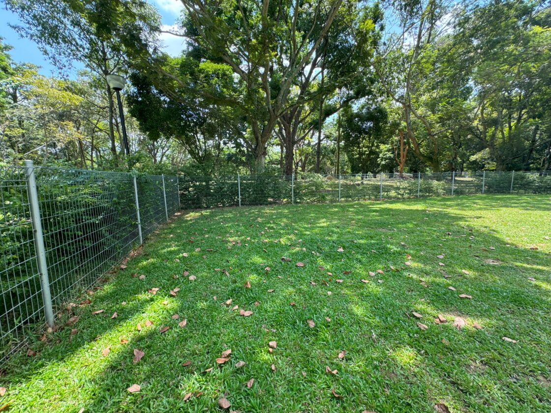 Punggol Park Dog Runの画像4