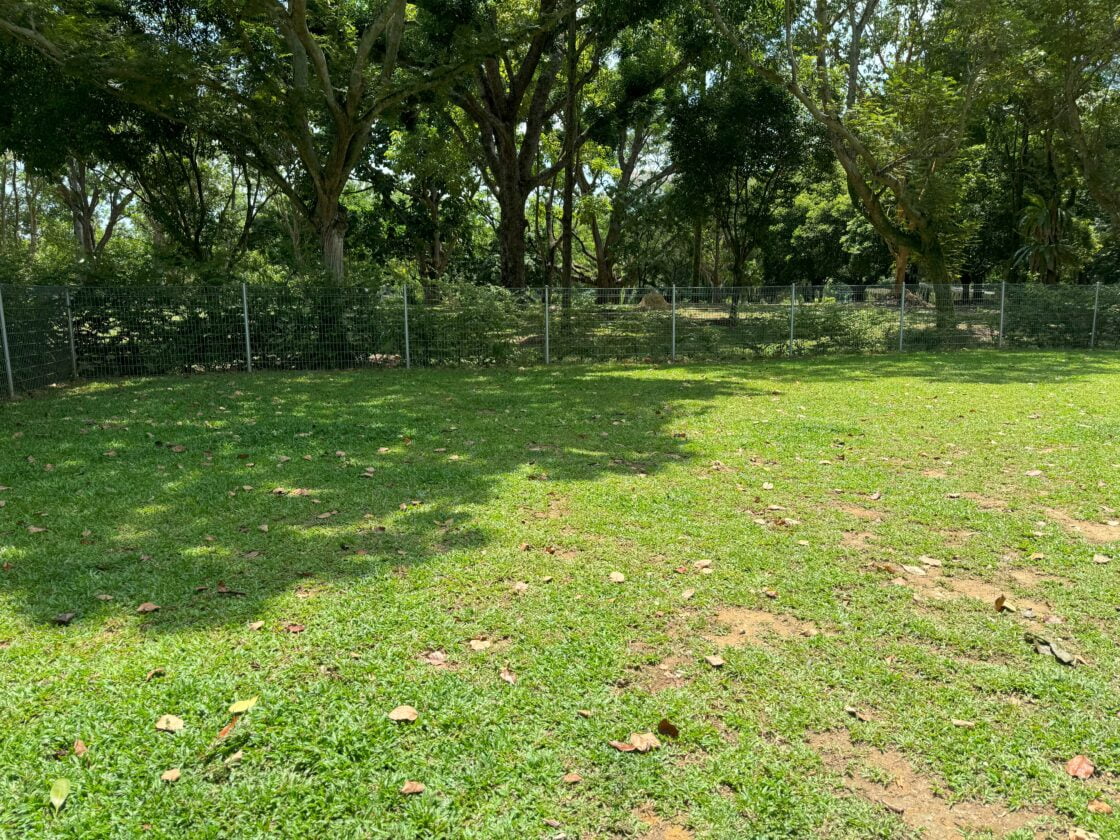 Punggol Park Dog Runの画像5